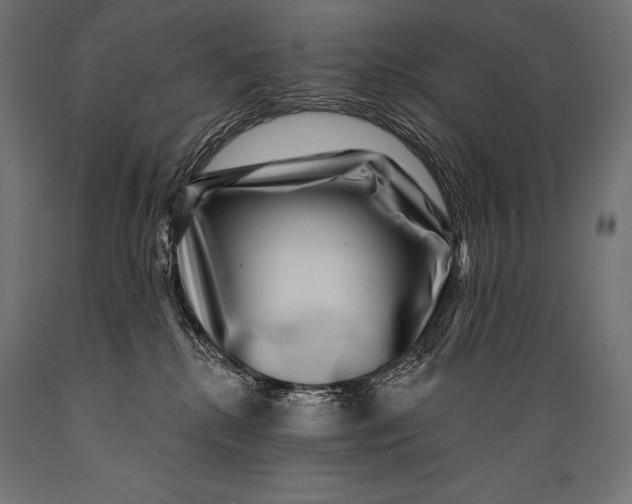 X0000088880280200706291610