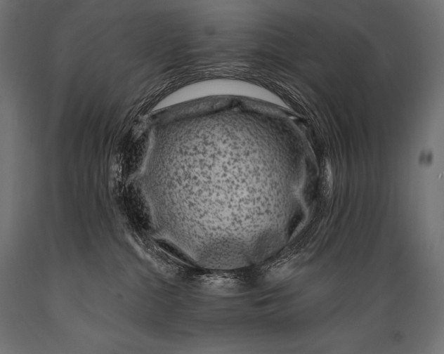 X0000088880284200706291611