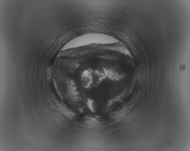 X0000088880285200706291611