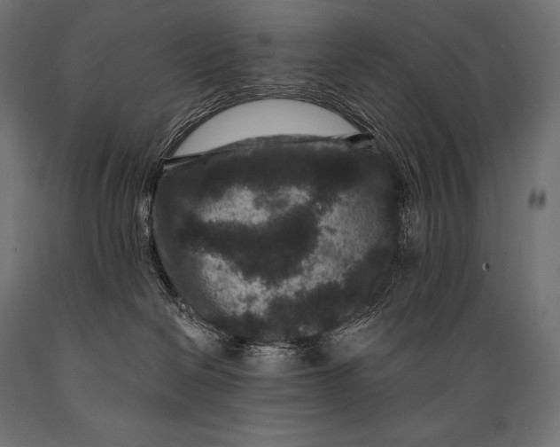 X0000088880286200706291611