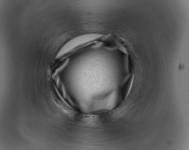 X0000088880288200706291611