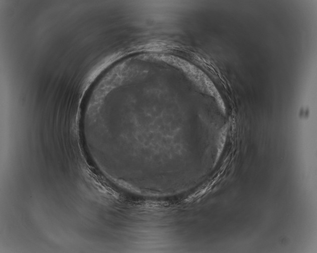 X0000088880292200706291610