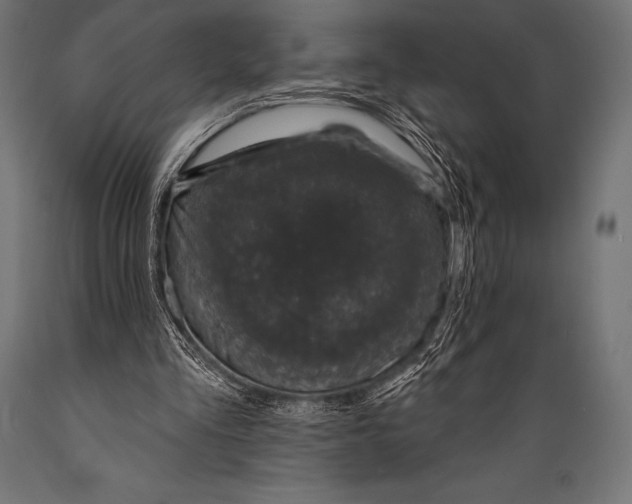 X0000088880293200706291610