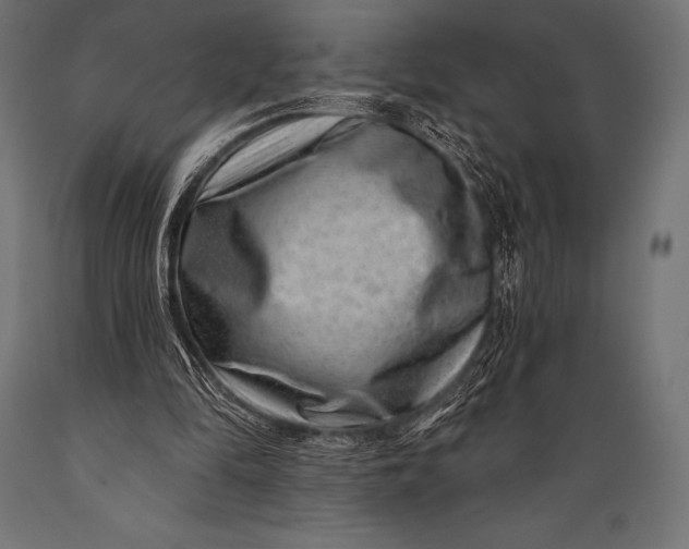 X0000088880294200706291610