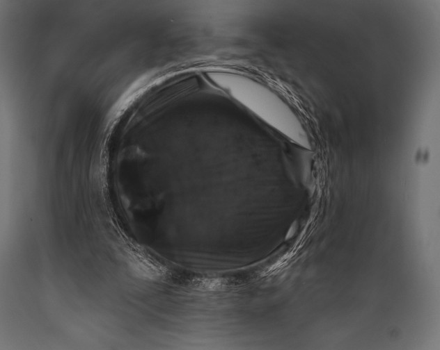 X0000088880295200706291610