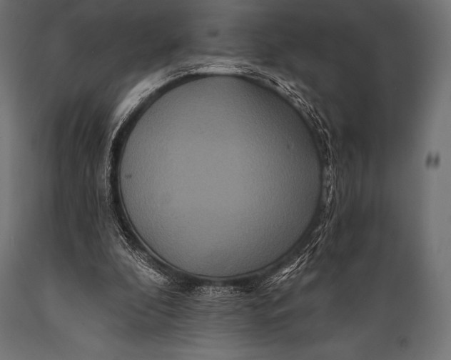 X0000088880296200706291610