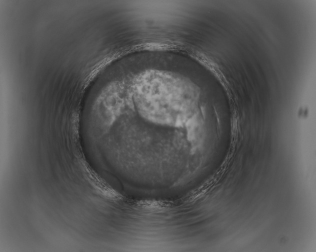 X0000088880297200706291610