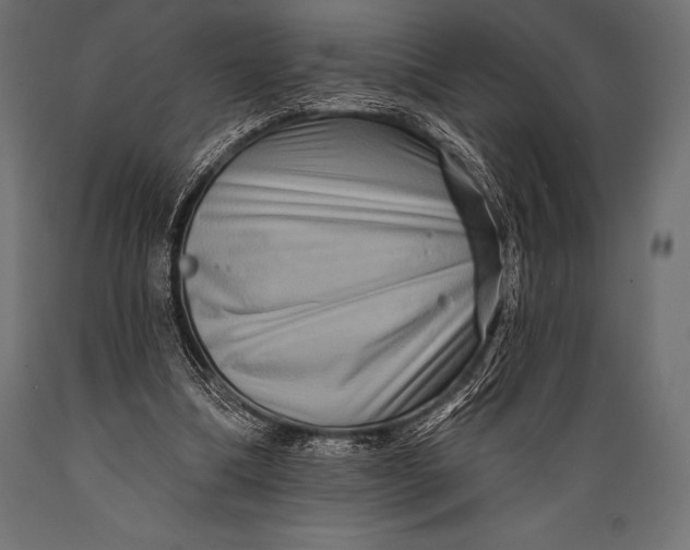 X0000088880298200706291610