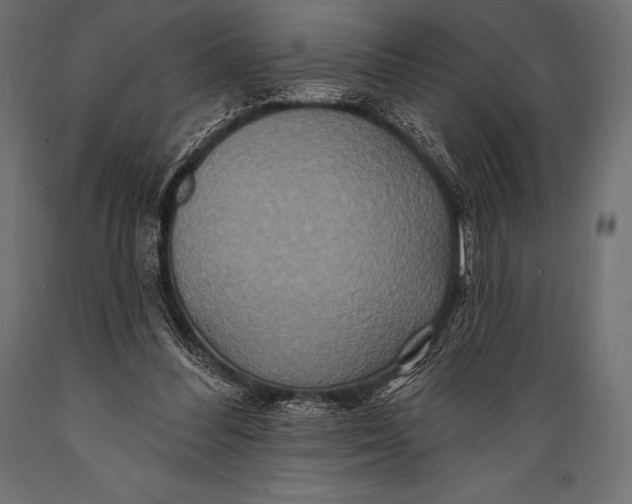 X0000088880300200706291610