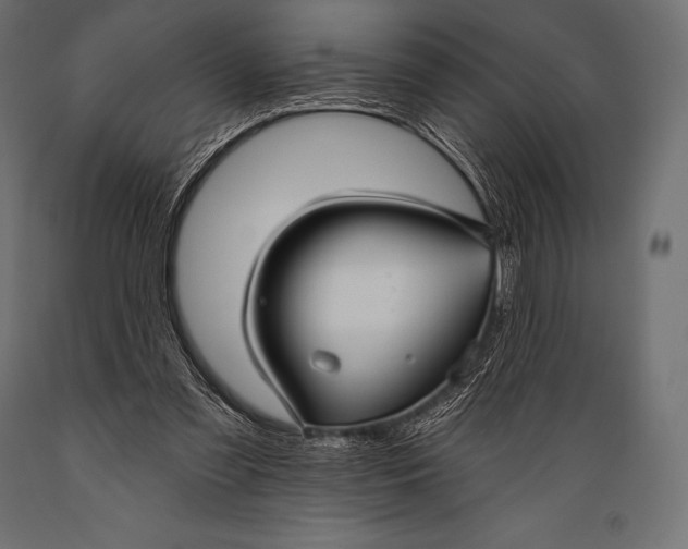 X0000088880301200706291610