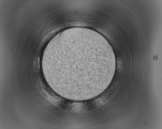 X0000088880302200706291610