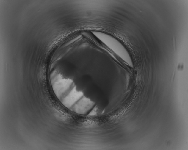 X0000088880303200706291610