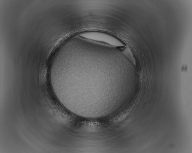 X0000088880304200706291610