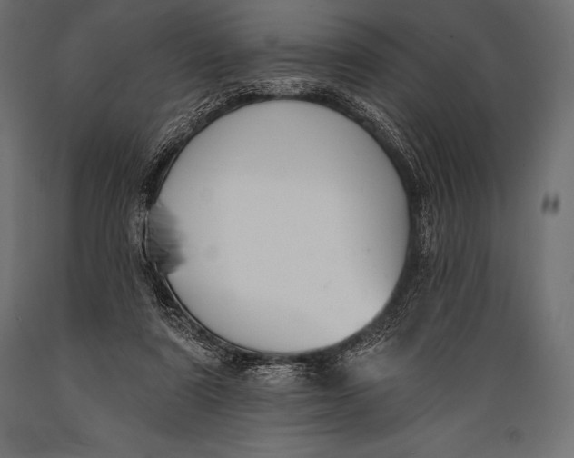 X0000088880307200706291610