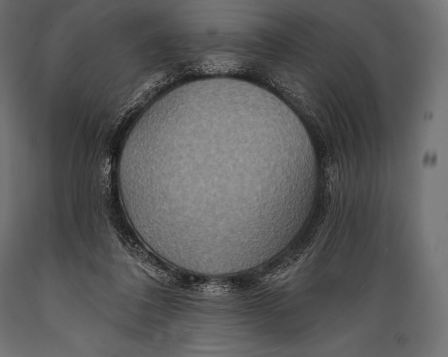 X0000088880308200706291610