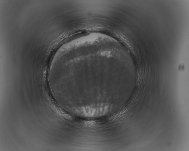 X0000088880309200706291610