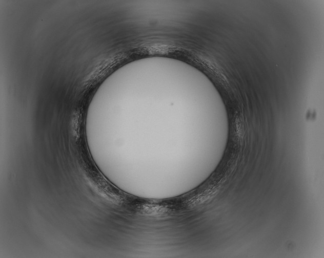 X0000088880311200706291610