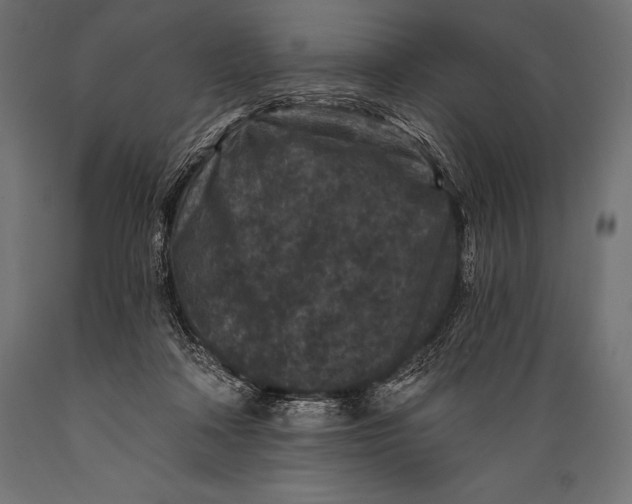 X0000088880314200706291610