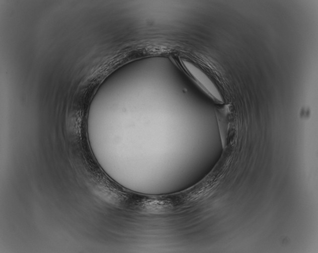 X0000088880315200706291610