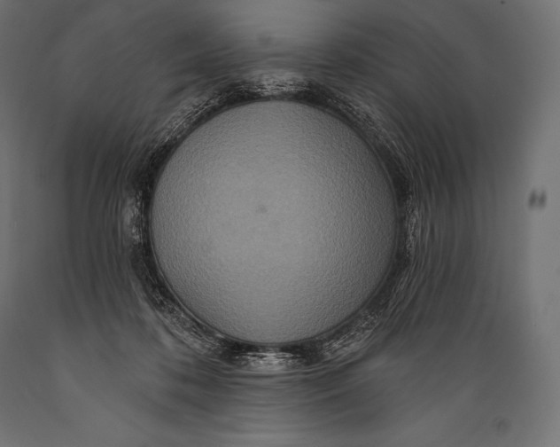 X0000088880316200706291610