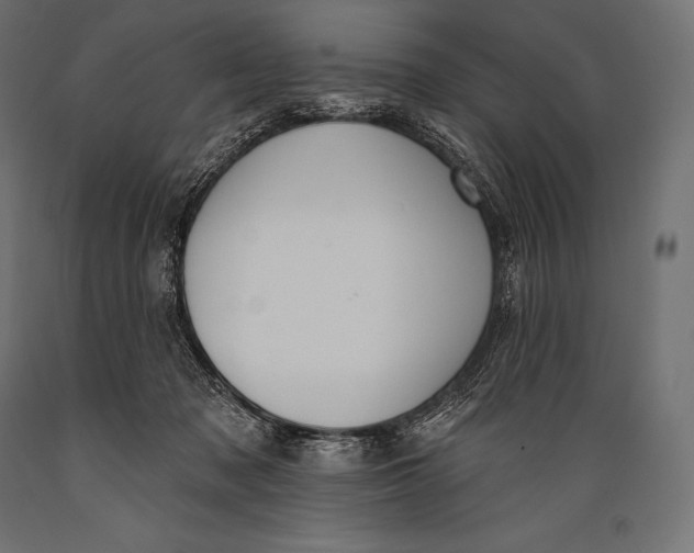 X0000088880317200706291610