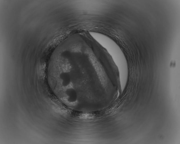 X0000088880319200706291609