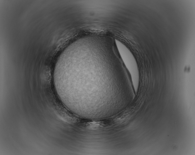 X0000088880320200706291609