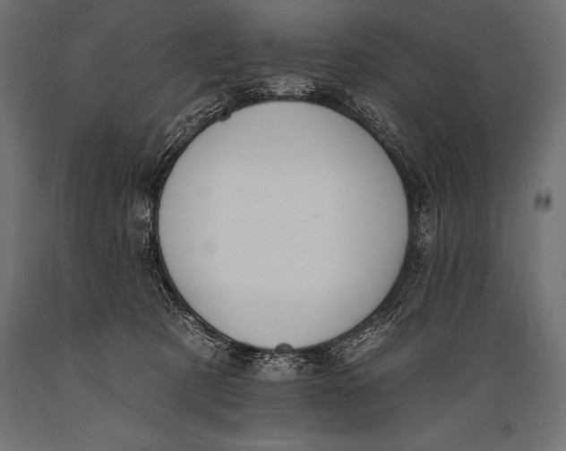 X0000088880321200706291609