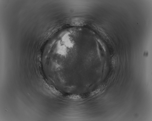 X0000088880322200706291609