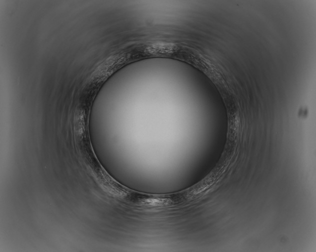 X0000088880323200706291609