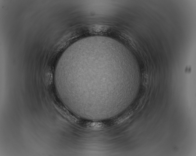 X0000088880324200706291609