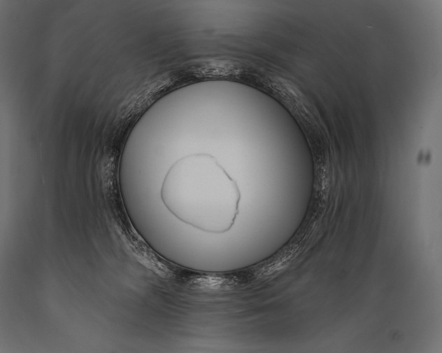 X0000088880326200706291609