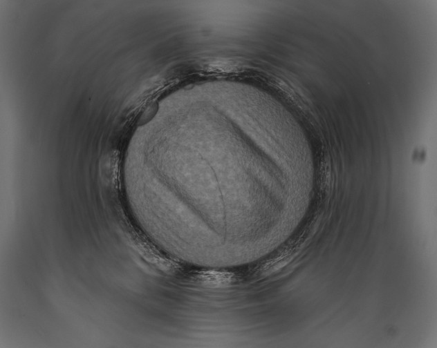 X0000088880328200706291609