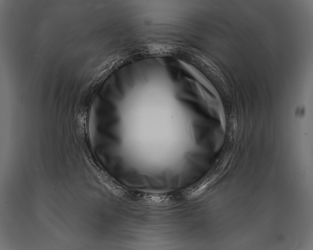 X0000088880329200706291609