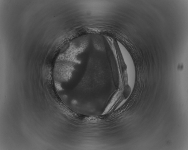 X0000088880331200706291609