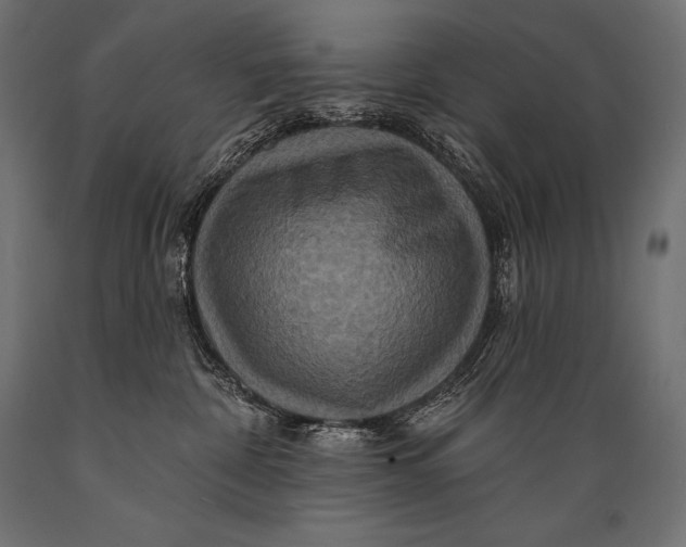 X0000088880332200706291609