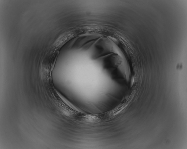 X0000088880333200706291609