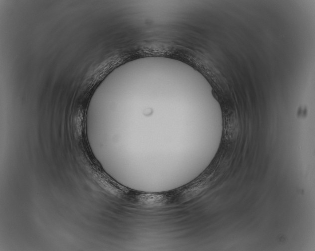 X0000088880334200706291609