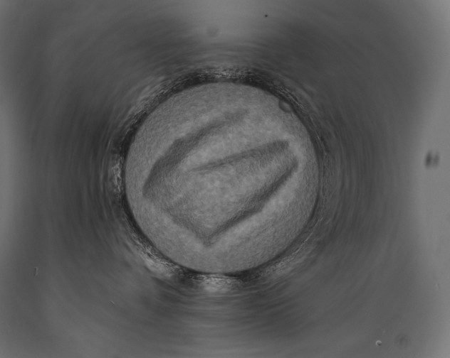 X0000088880336200706291609