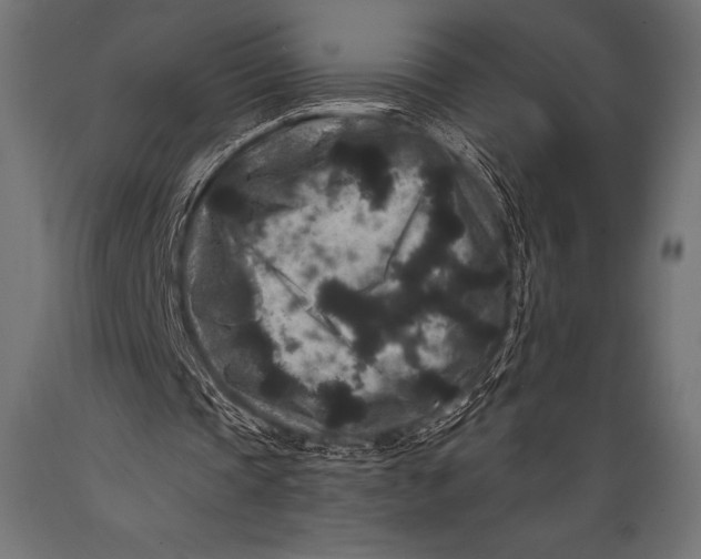 X0000088880337200706291609