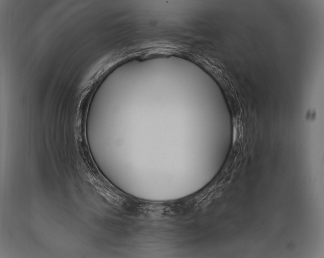 X0000088880339200706291609