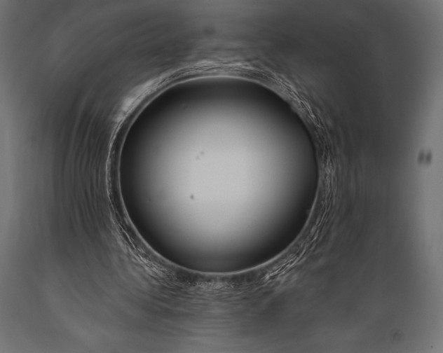 X0000088880340200706291609