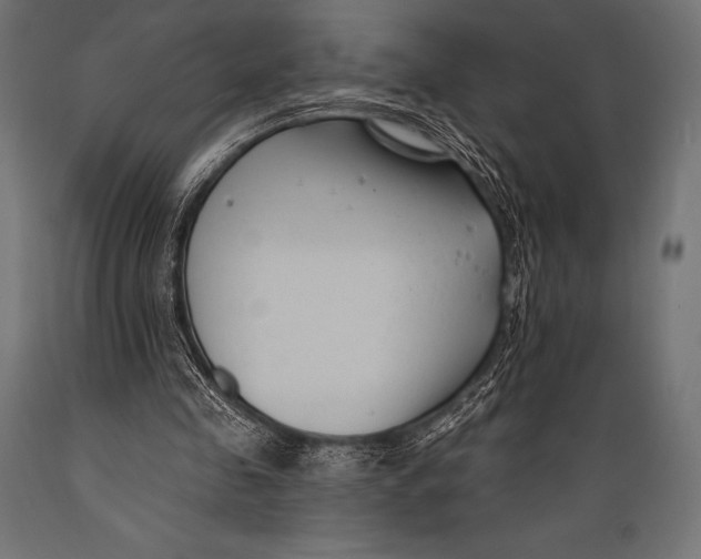 X0000088880341200706291609