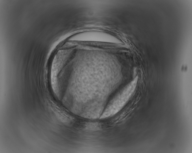 X0000088880342200706291609