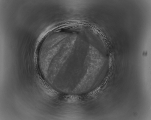 X0000088880343200706291609