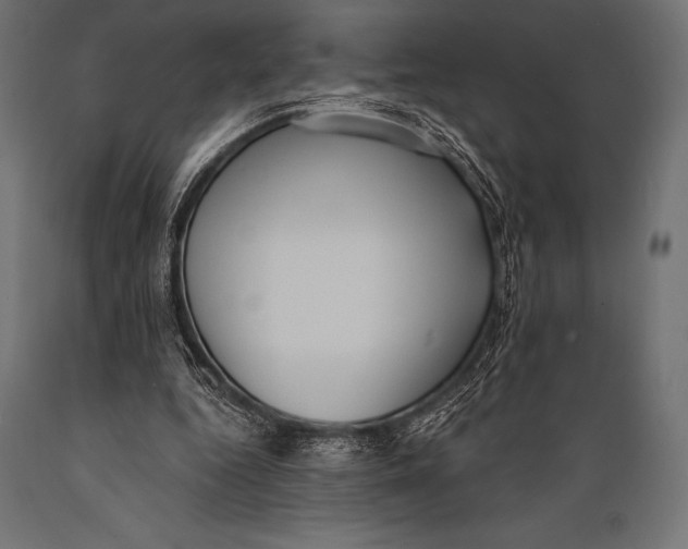 X0000088880344200706291609