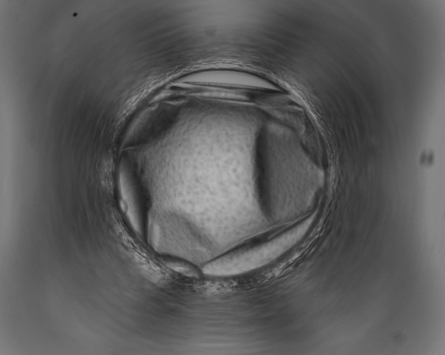 X0000088880345200706291609