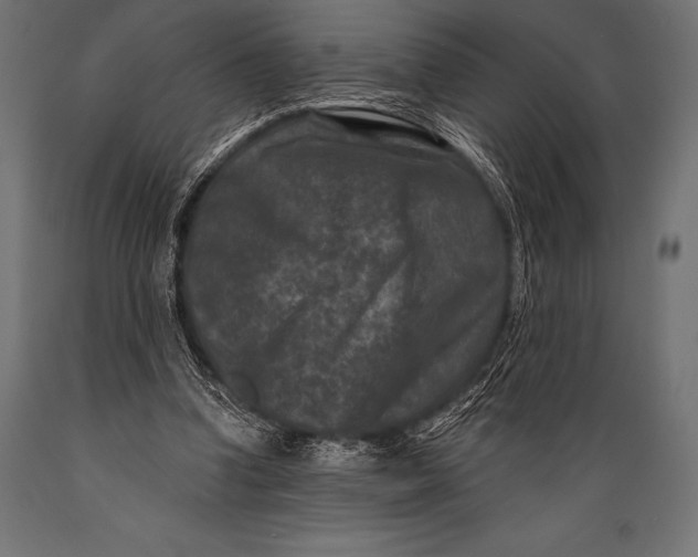 X0000088880346200706291609