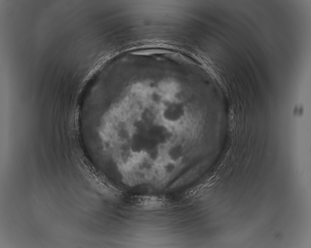 X0000088880347200706291609