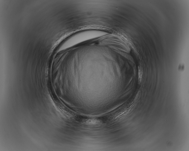 X0000088880348200706291609